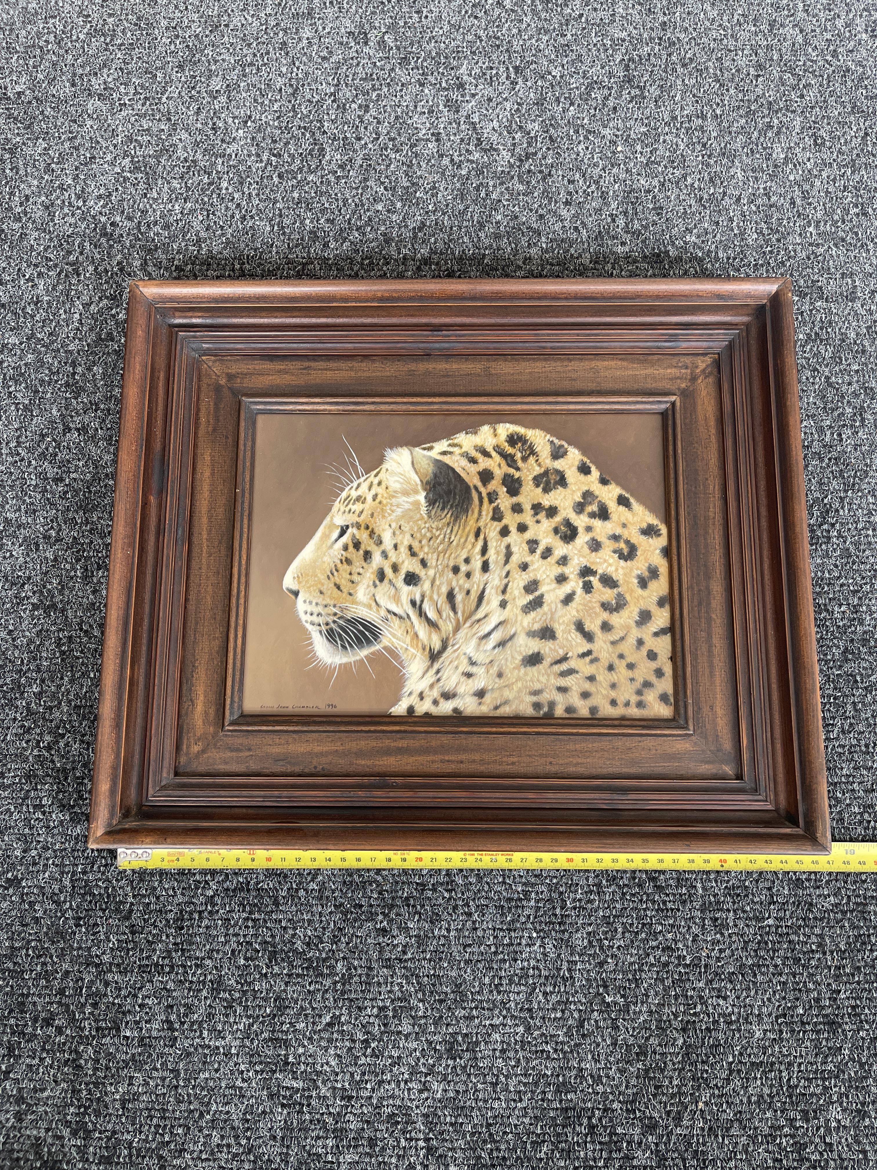 Signed and Framed Oil On Panel - Leopard - by Coli - Image 19 of 22