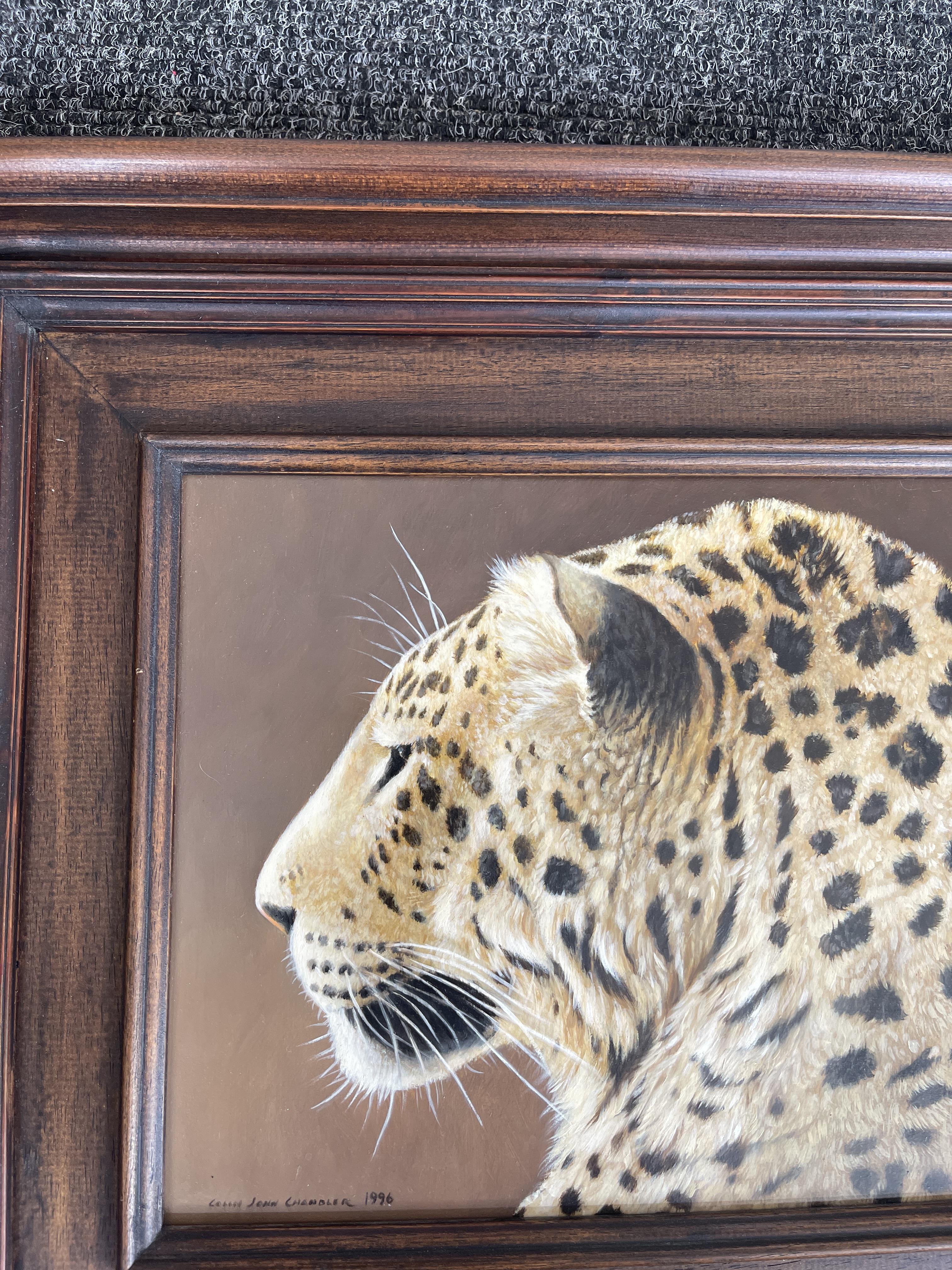 Signed and Framed Oil On Panel - Leopard - by Coli - Image 7 of 22