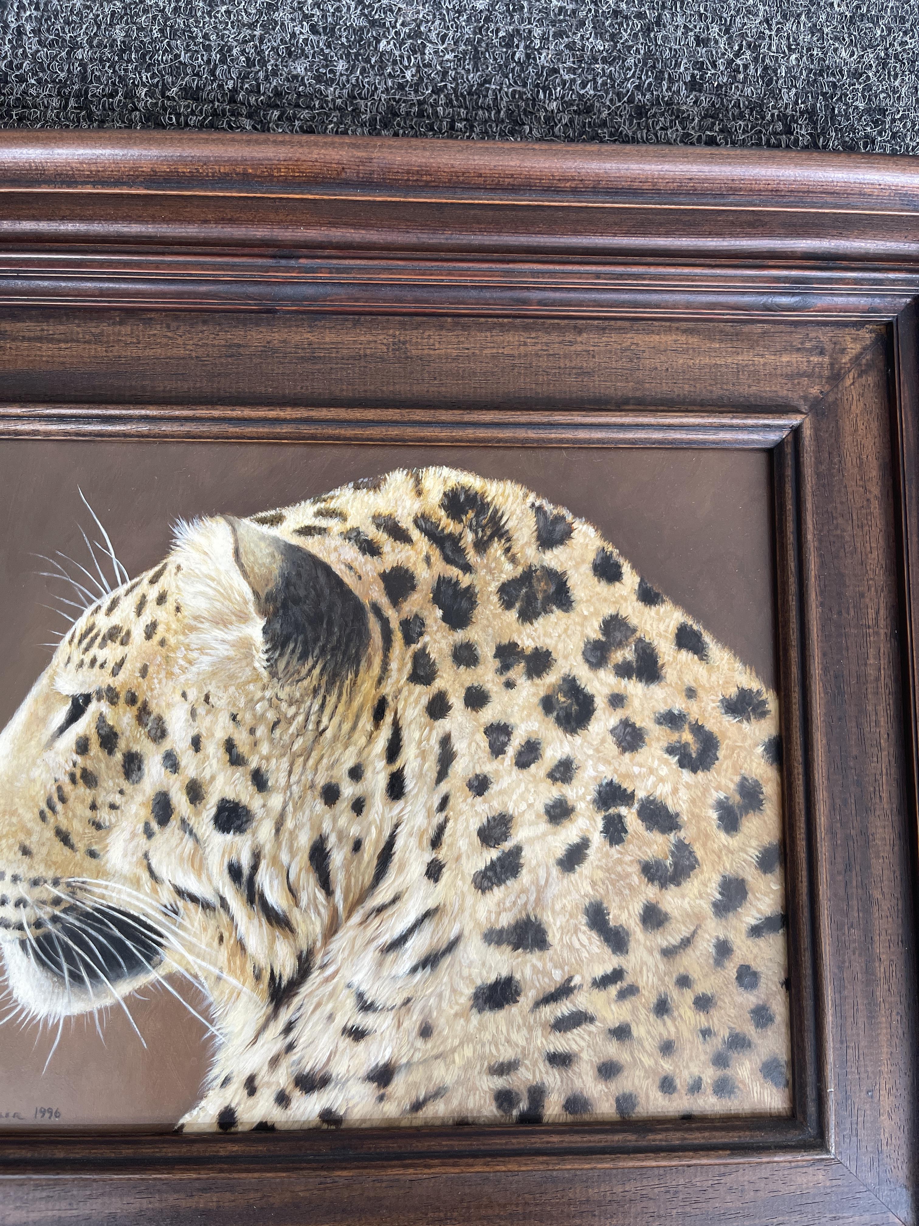 Signed and Framed Oil On Panel - Leopard - by Coli - Image 8 of 22