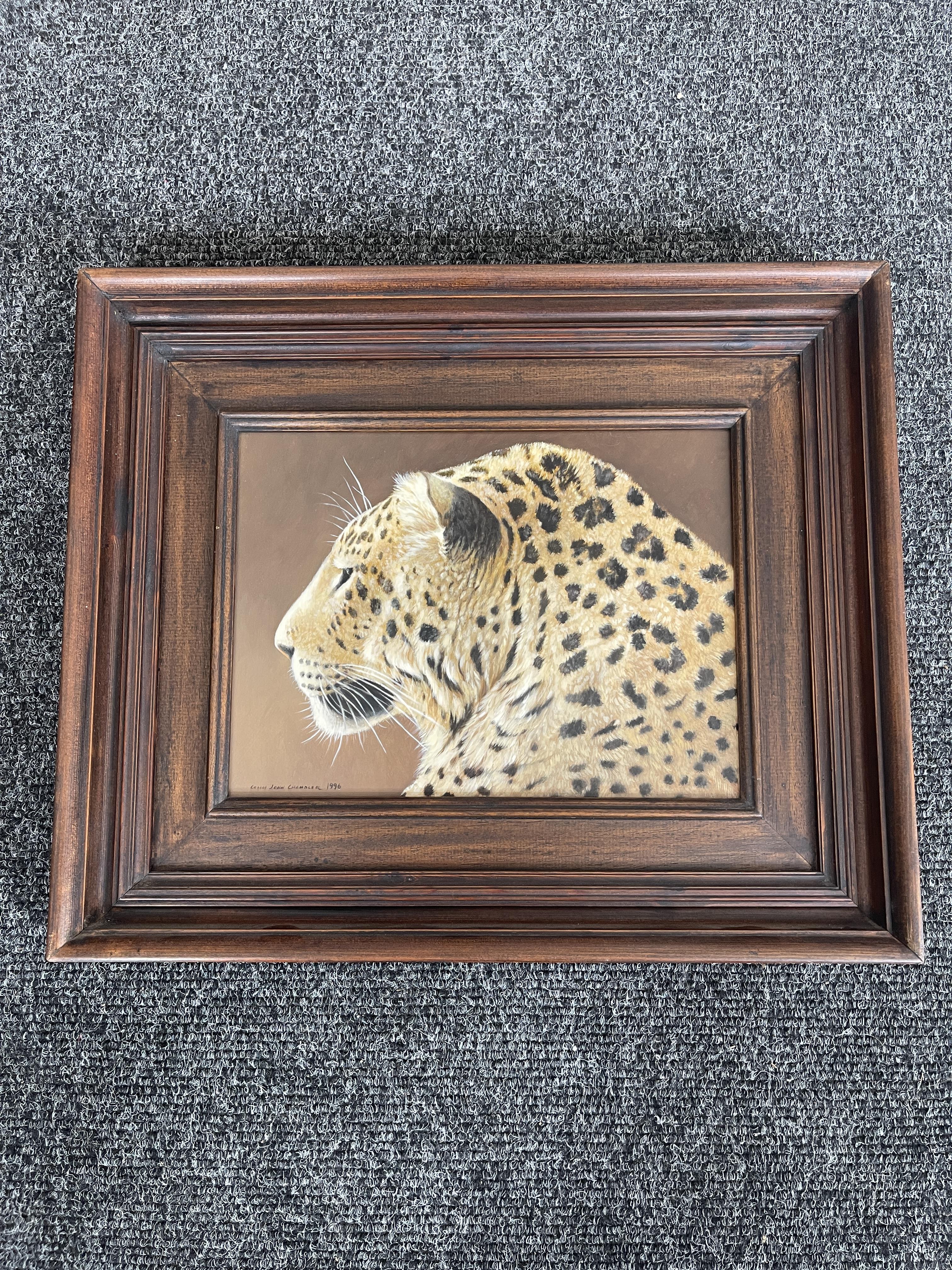 Signed and Framed Oil On Panel - Leopard - by Coli - Image 22 of 22