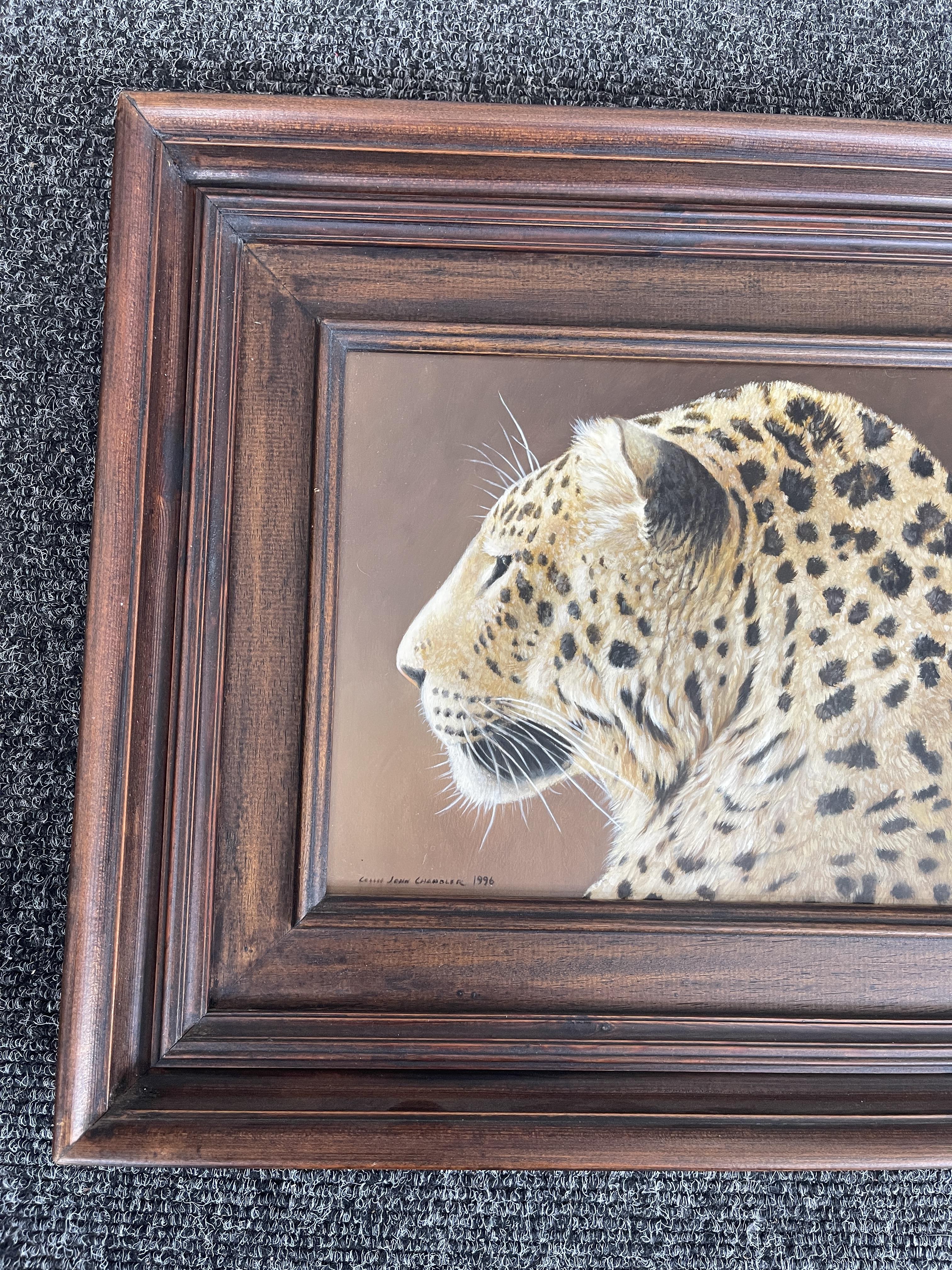 Signed and Framed Oil On Panel - Leopard - by Coli - Image 2 of 22