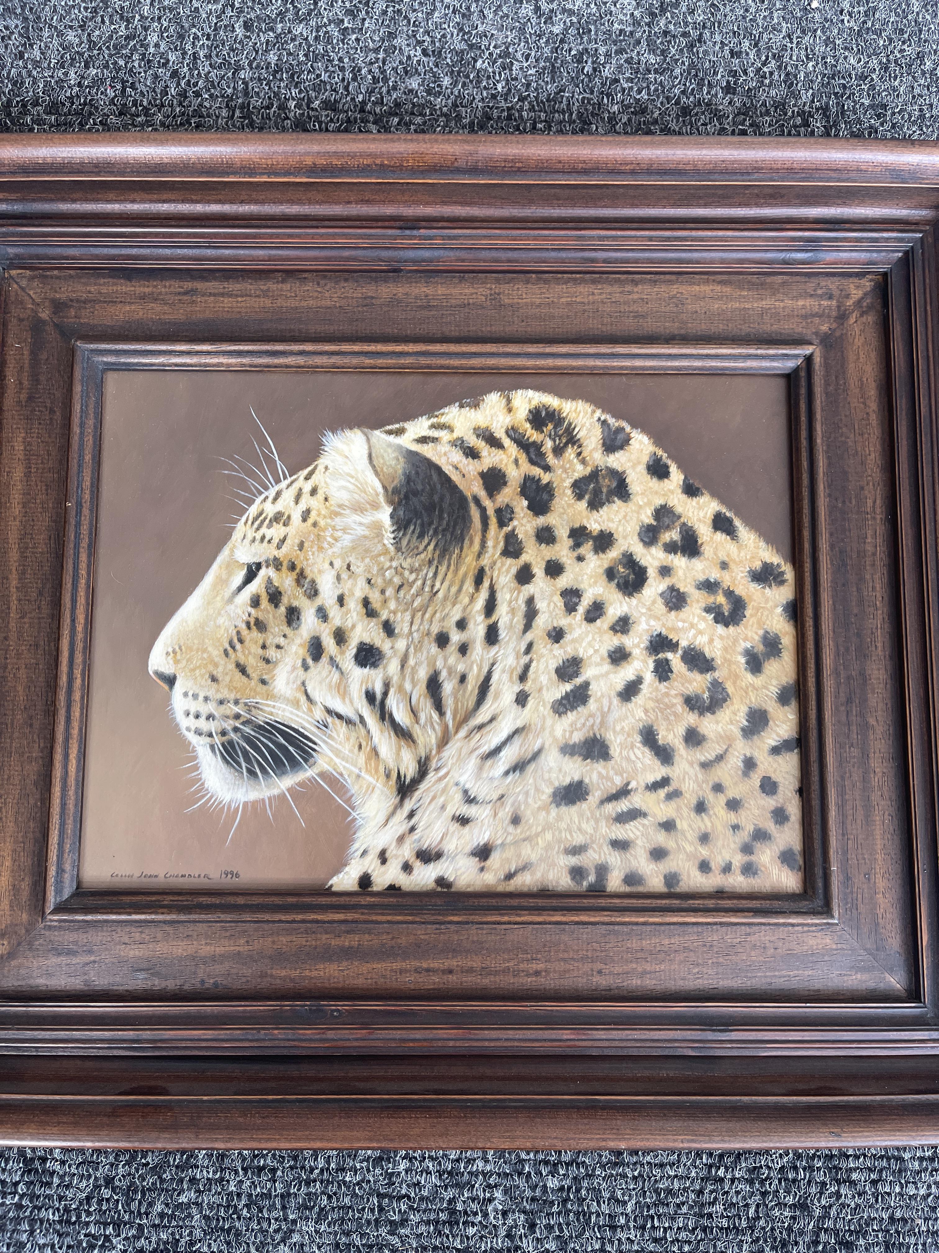 Signed and Framed Oil On Panel - Leopard - by Coli - Image 4 of 22
