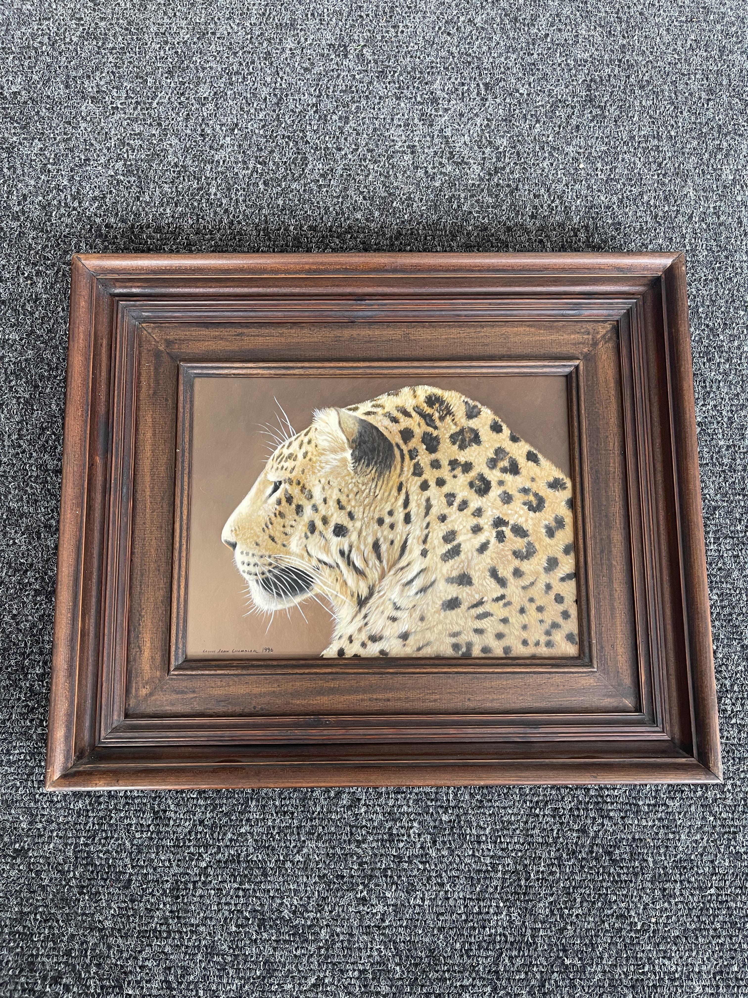 Signed and Framed Oil On Panel - Leopard - by Coli