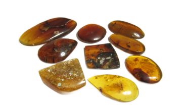 Ancient Burmese Amber Group (9). Circa, 100 million years.