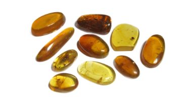 Ancient Burmese Amber Group (10). Circa 100 million years old.