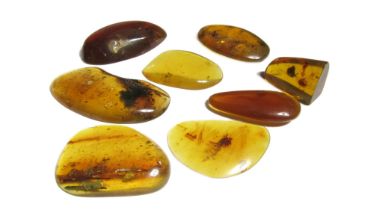 Ancient Burmese Amber Group (8). Circa, 100 million years. 25-50mm.Â Burmese amber, also known asÂ