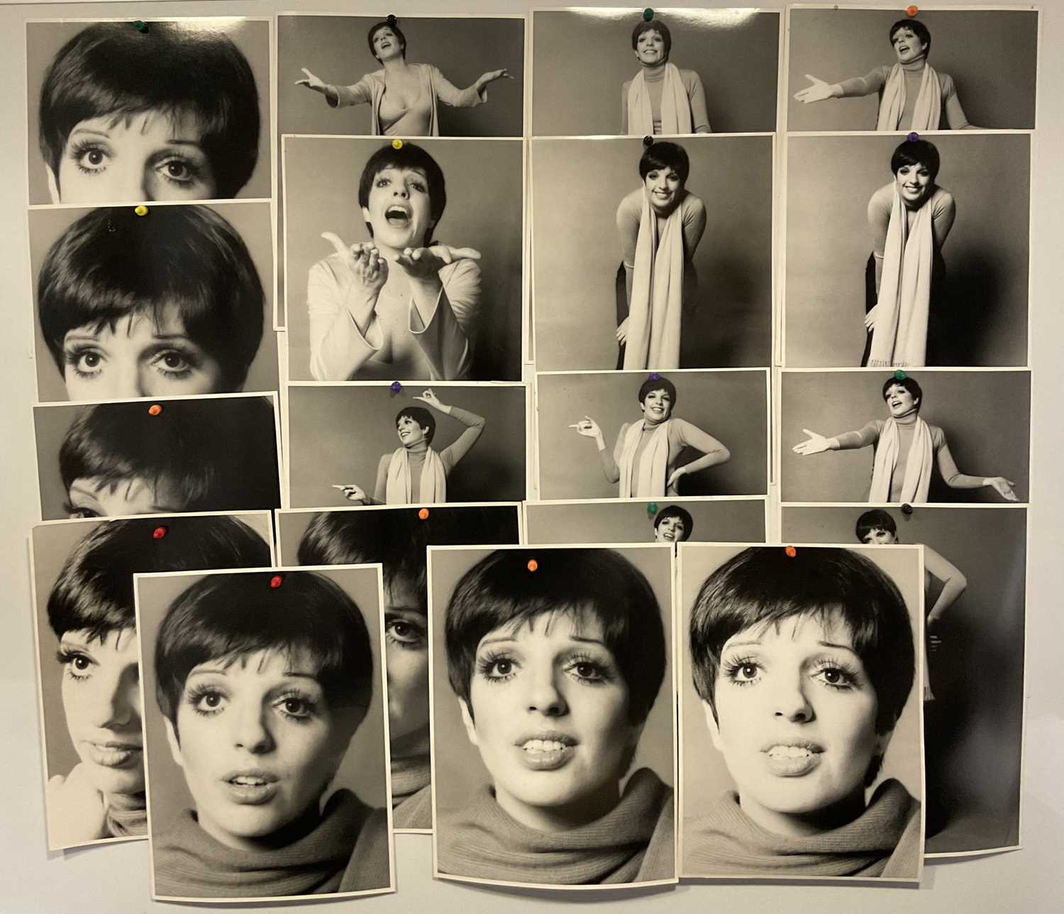 FROM THE ESTATE OF LIZA MINELLI - A collection of 19 large size original photographic portraits by