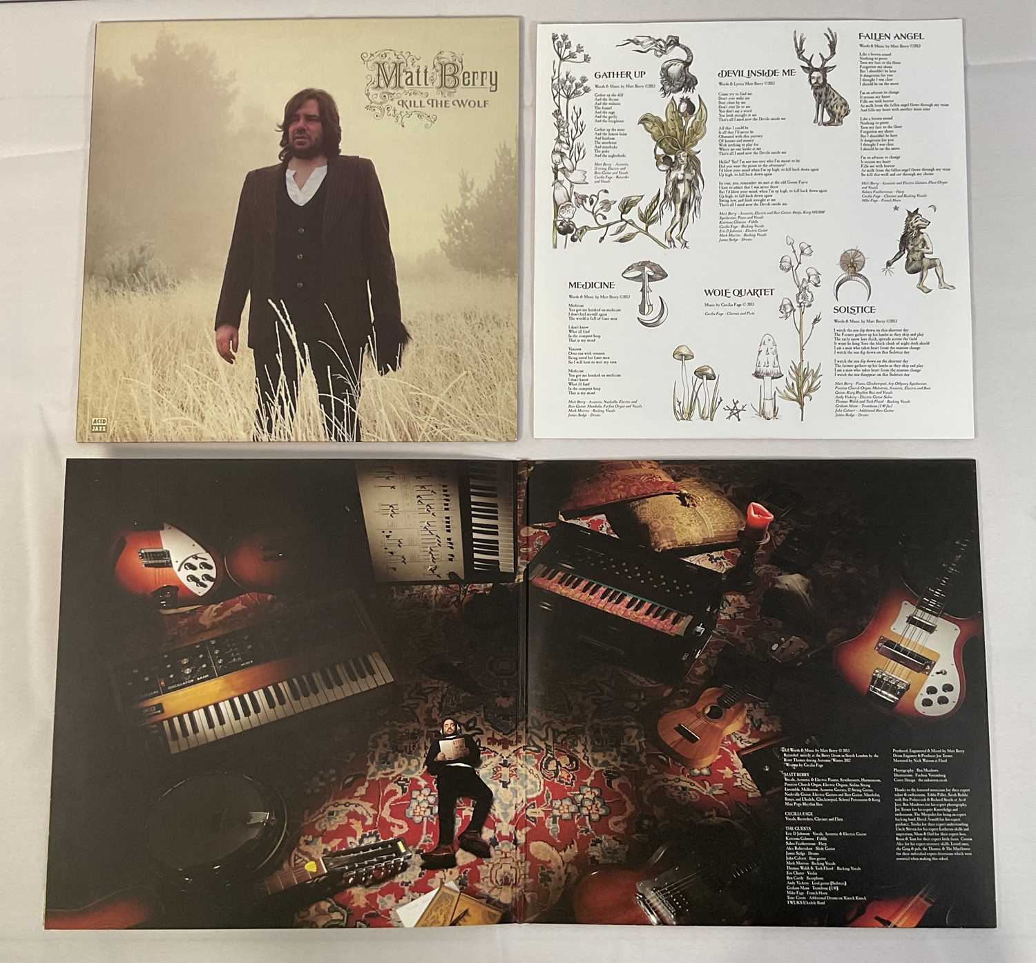 VINYL RECORDS - MATT BERRY: Three versions of the 2013 album Kill The Wolf including a limited - Image 6 of 7