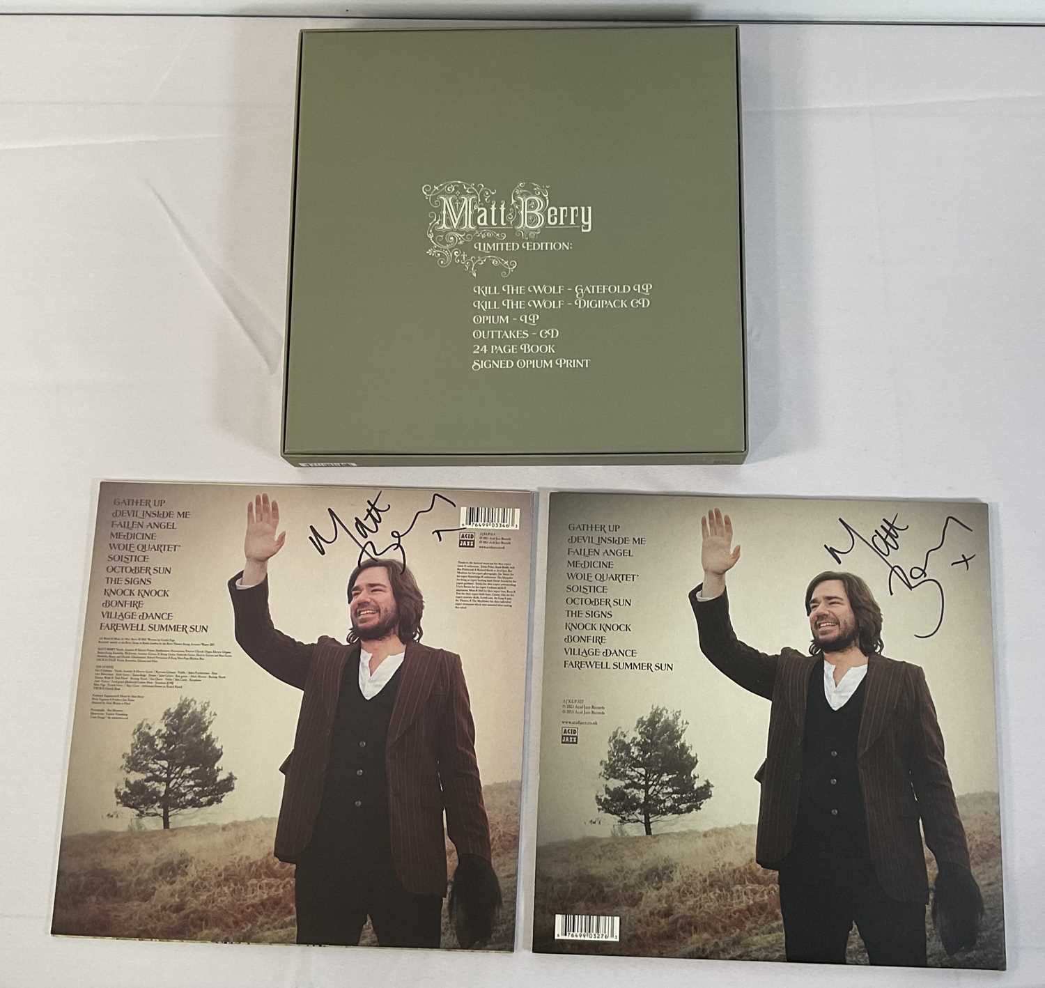 VINYL RECORDS - MATT BERRY: Three versions of the 2013 album Kill The Wolf including a limited - Image 2 of 7