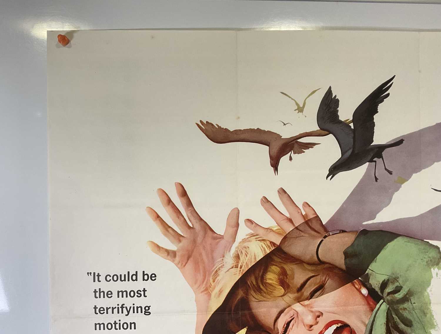 THE BIRDS (1963) UK Quad film poster, Alfred Hitchcock's ornithological suspense thriller starring - Image 5 of 6
