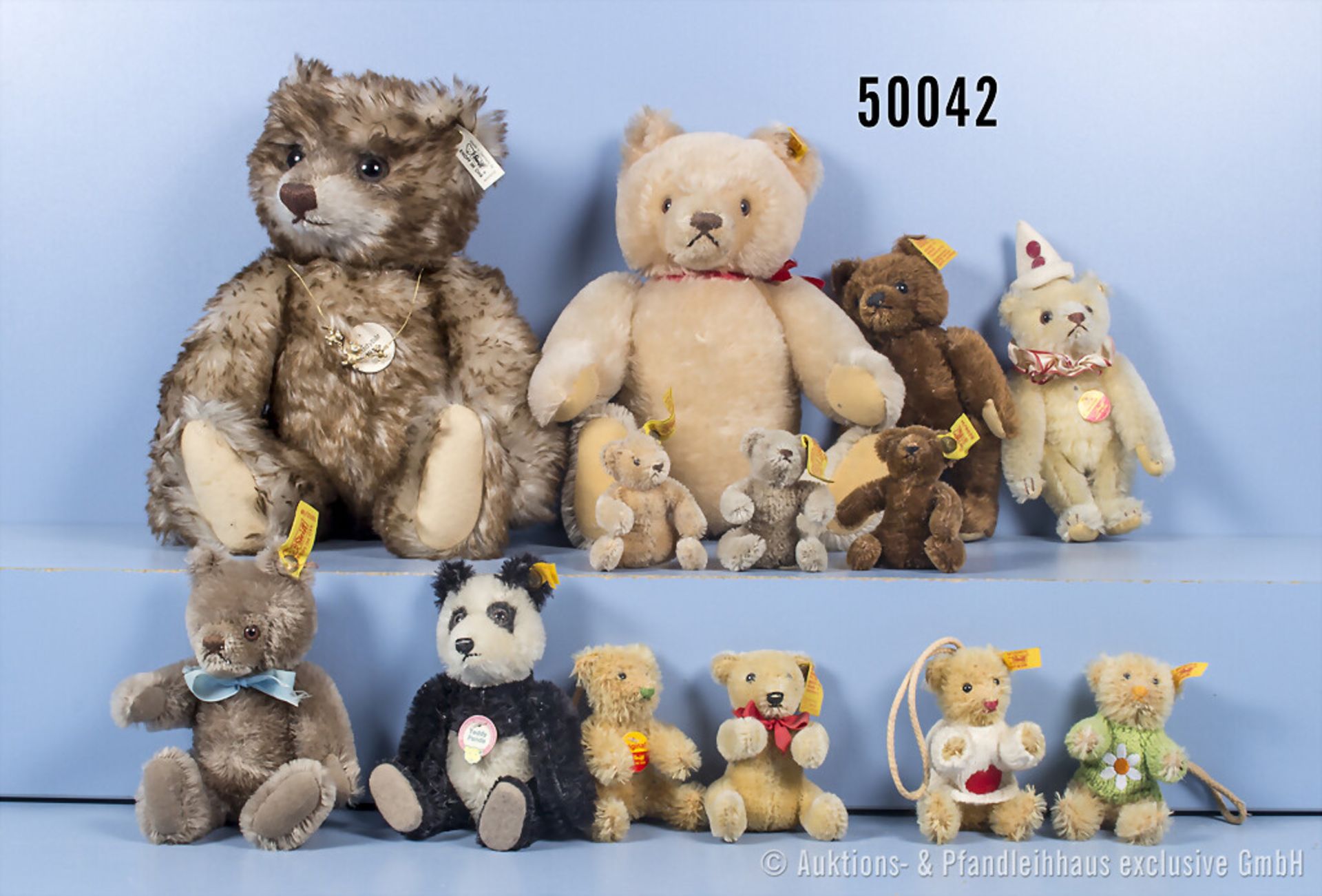 13 Steiff Bären, Mohair, Replika Teddy, KF, Nr. 407215, Teddy Panda, KFS, Nr. 029905 ...