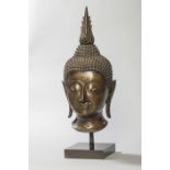 Tête de Buddha à l'expression sereine coiffée de larges bouclettes surmontée de la protubérance