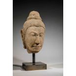 Tête de Buddha a l'expression sereine coiffée de fines bouclettes surmontée de la protubérance