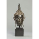 Tête de Buddha à l'expression sereine coiffée de fines bouclettes surmontée de la protubérance