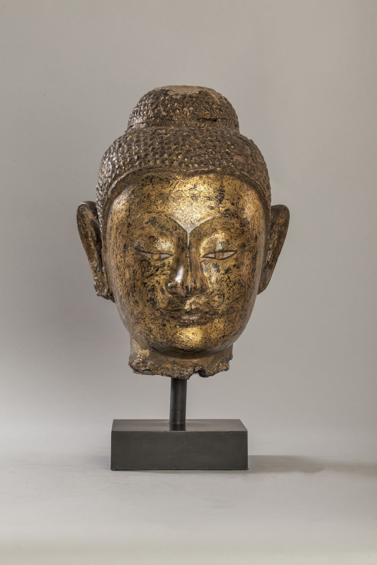 Tête de Buddha à la coiffure bouclée à l'expression méditative, les paupières mi-closes