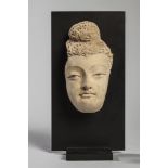 Partie faciale de Buddha à la beauté juvénile, la chevelure bouclée surmontée du chignon Ushnisha