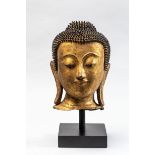 Tête de Buddha coiffée de fines bouclettes hérissées surmontée de la protubérance crânienne ushnisha