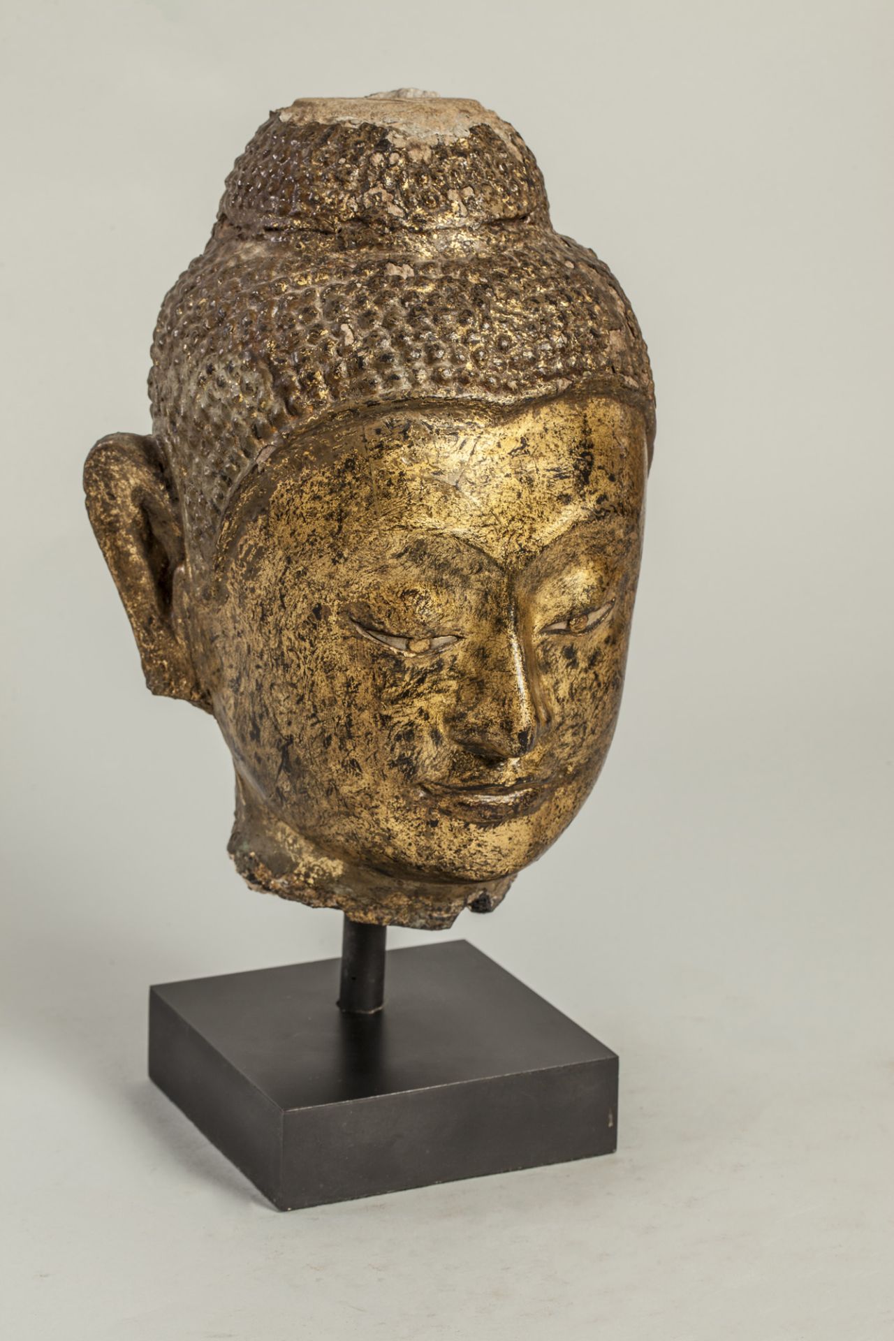Tête de Buddha à la coiffure bouclée à l'expression méditative, les paupières mi-closes - Bild 2 aus 2