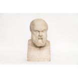 Bust of Socrates, 19th century