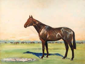 French school, beginning XX century - Bay horse in a racecourse