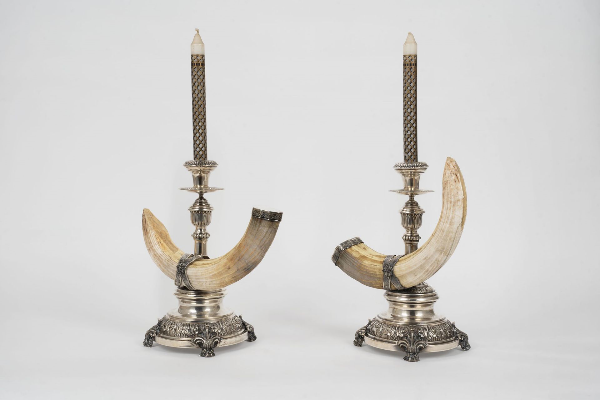 Pair of silver candlesticks with warthog teeth, 20th century