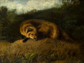 Italian school, XIX century - The Fox