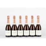 France - Champagne / Egly-Ouriet Rose' (6 BT)