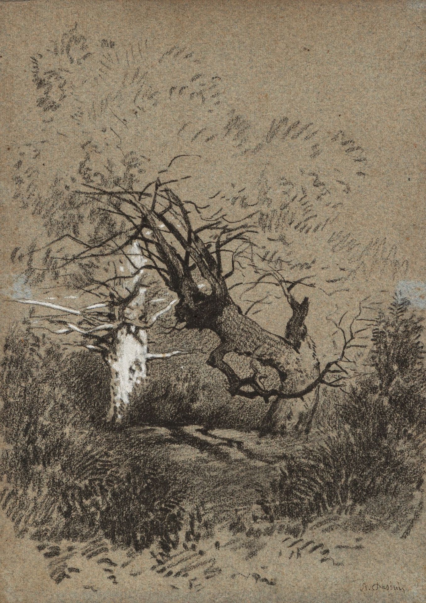 Alberto Pasini (Busseto 1826-Cavoretto 1899) - Forest