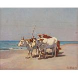 Llewelyn Lloyd (Livorno 1879-Firenze 1949) - Oxen on the beach, 1934