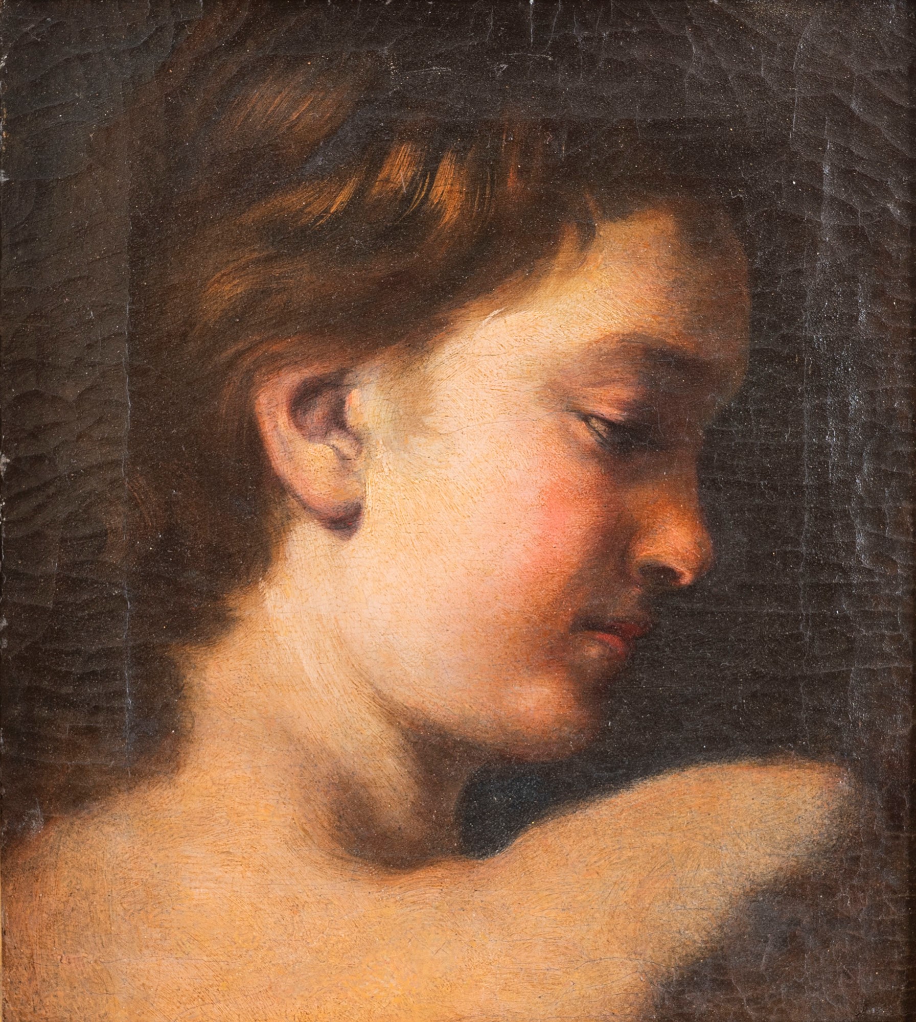 Tuscan School, XVII century - Study of a young man