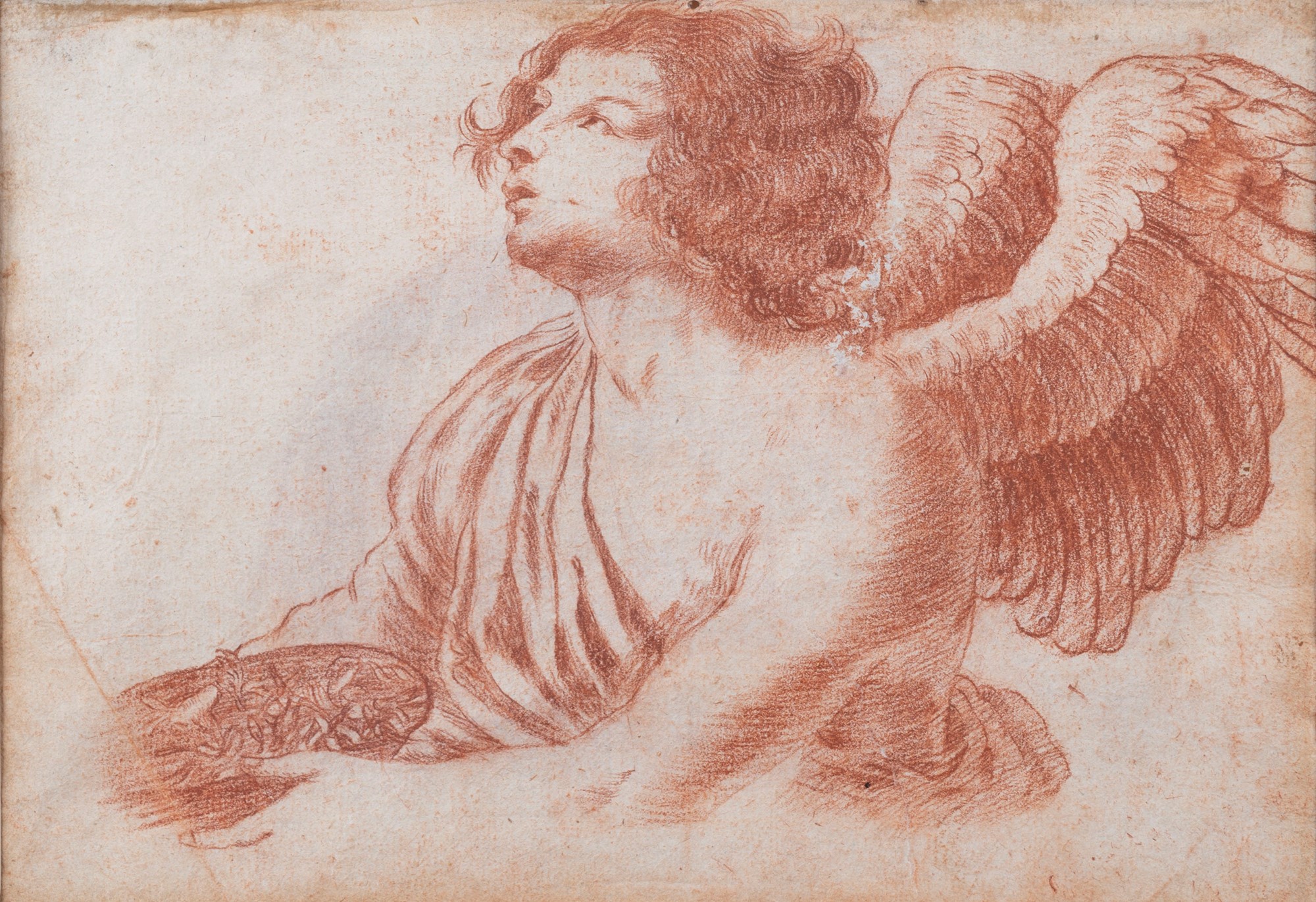 Italian School, XVII century - Study of Angel (recto); Study of Saint (verso)