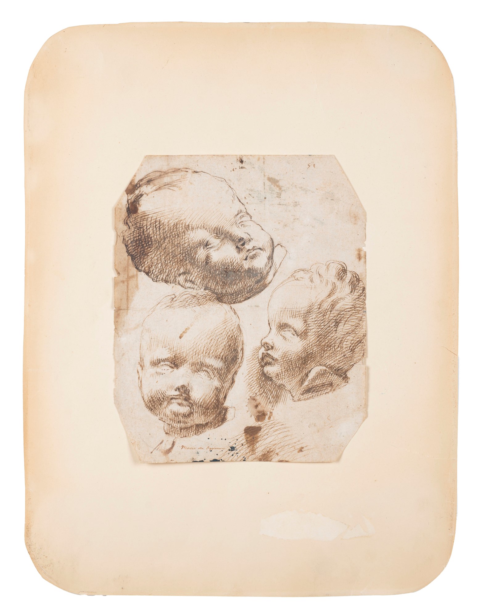 Lombard School, XVI century - Study for putti's heads