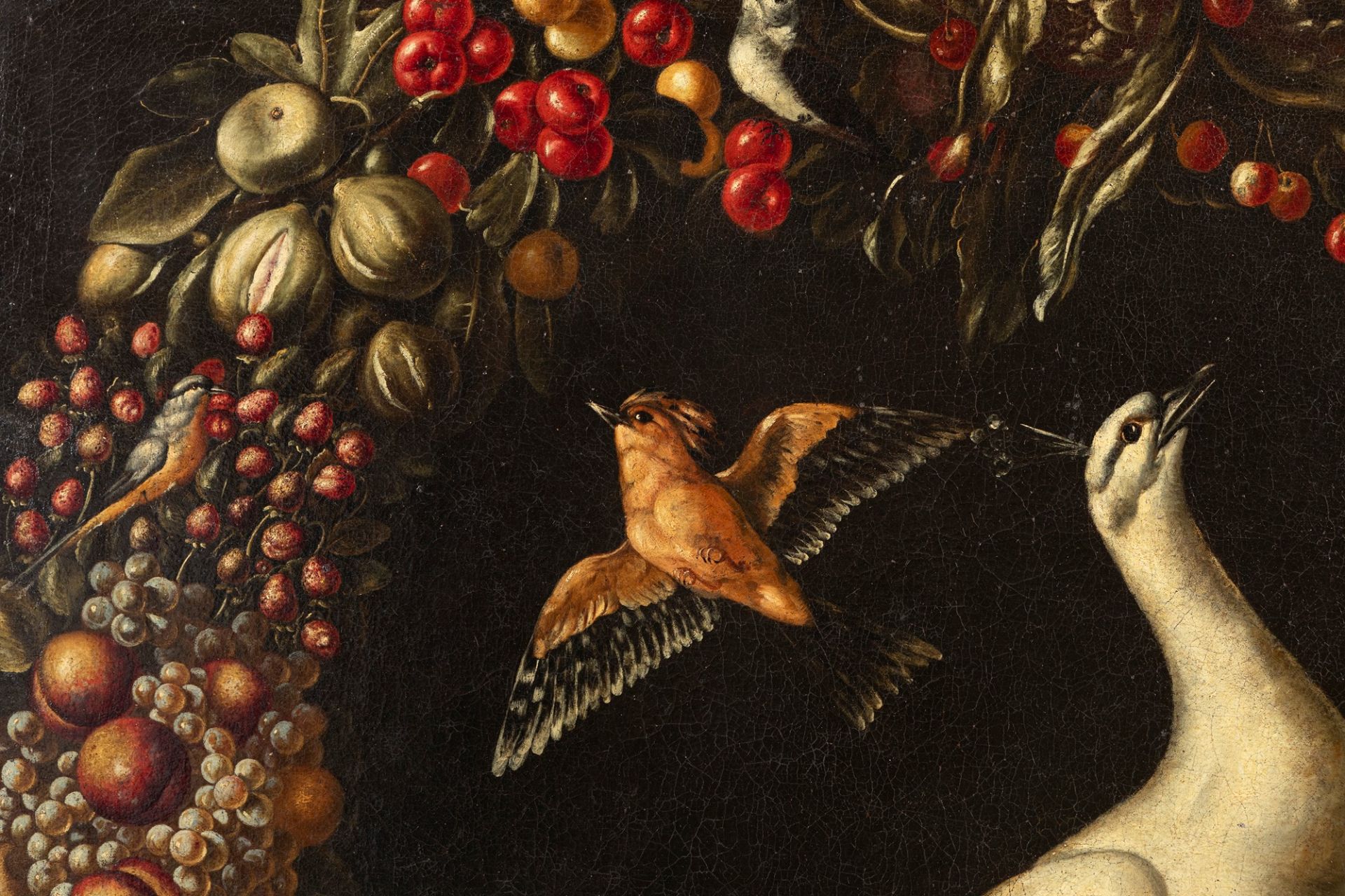 Neapolitan school, XVII century - Garland of fruit and vegetables with white peacock and other birds - Image 3 of 7