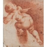 Italian School, XVII century - Study of a putto