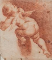 Italian School, XVII century - Study of a putto