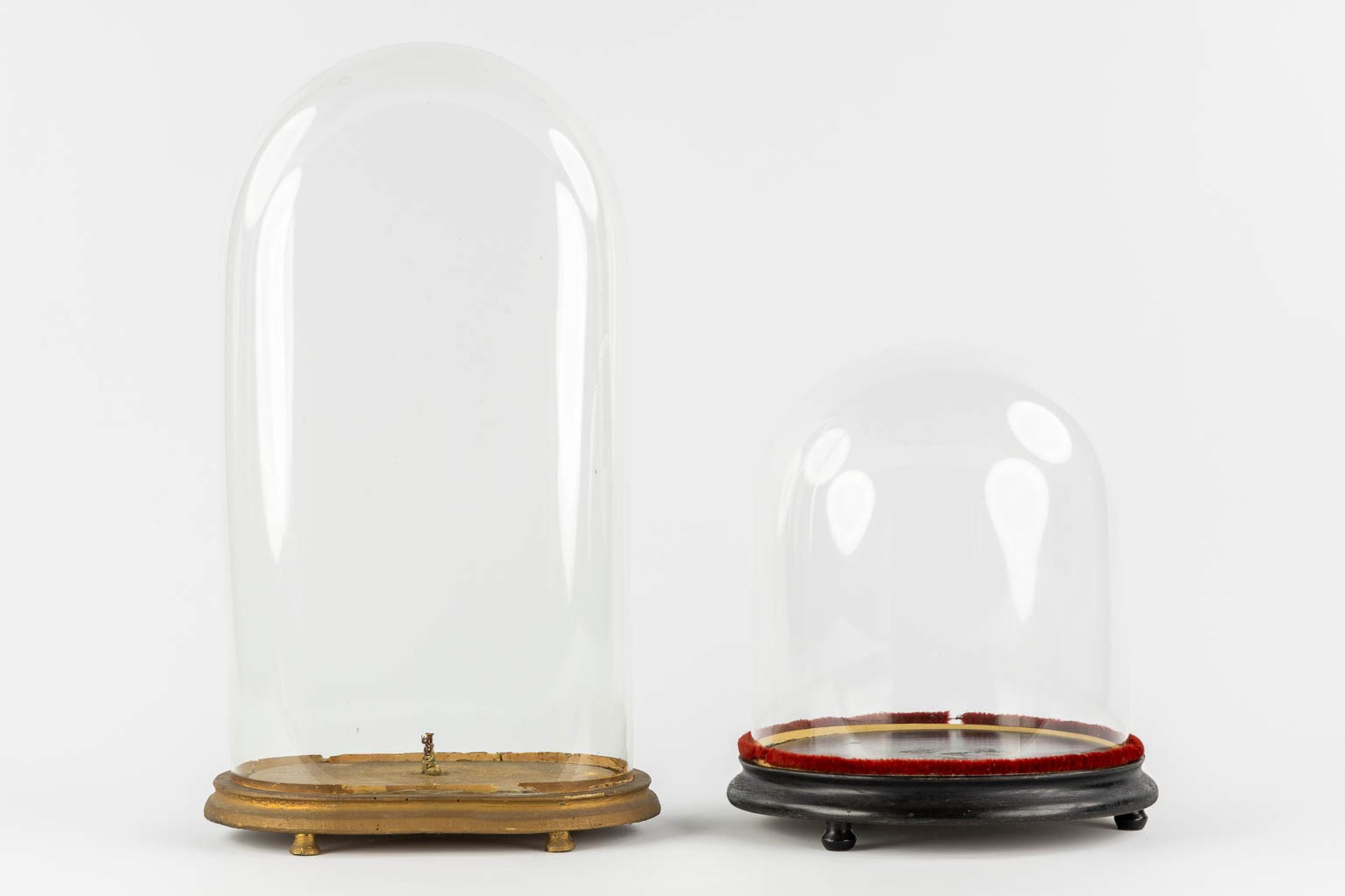 Two glass domes on a wood base. (H:60 cm) - Image 3 of 8
