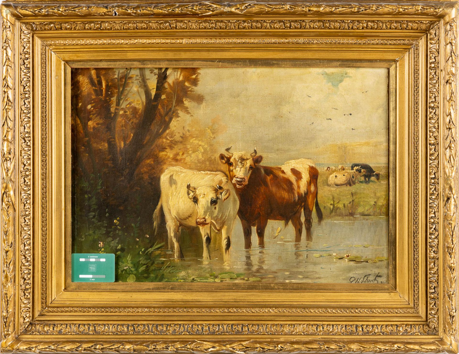 Paul SCHOUTEN (1860-1922) 'Cows in a pond' oil on canvas. (W:62 x H:45 cm) - Image 2 of 10