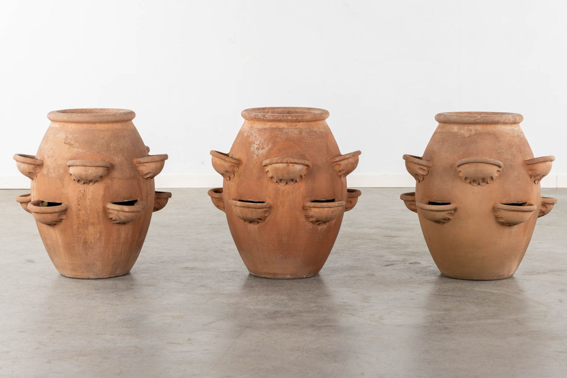 Biot France, 3 terracotta garden vases. (H:64 x D:62 cm) - Bild 8 aus 8