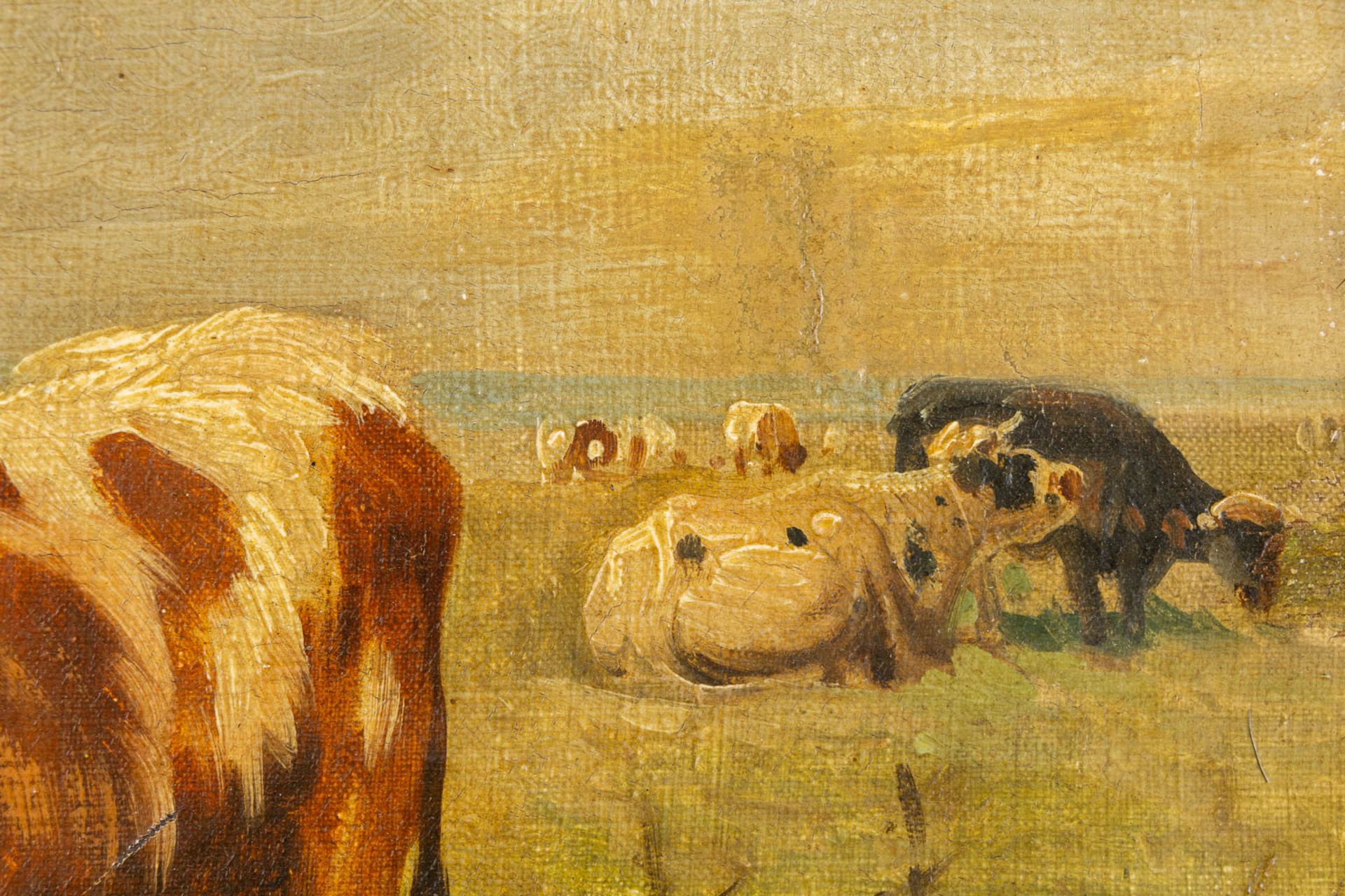 Paul SCHOUTEN (1860-1922) 'Cows in a pond' oil on canvas. (W:62 x H:45 cm) - Image 5 of 10