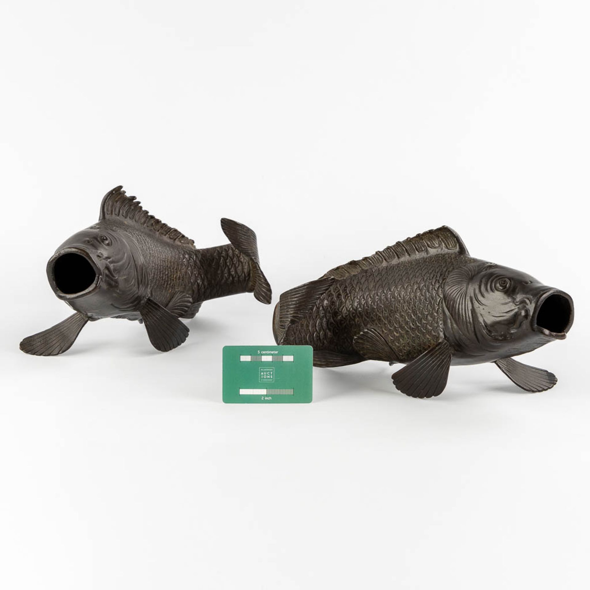 A pair of patinated bronze figurine of Koi, Japan. 20th C. (L:22 x W:29 x H:16 cm) - Image 2 of 12