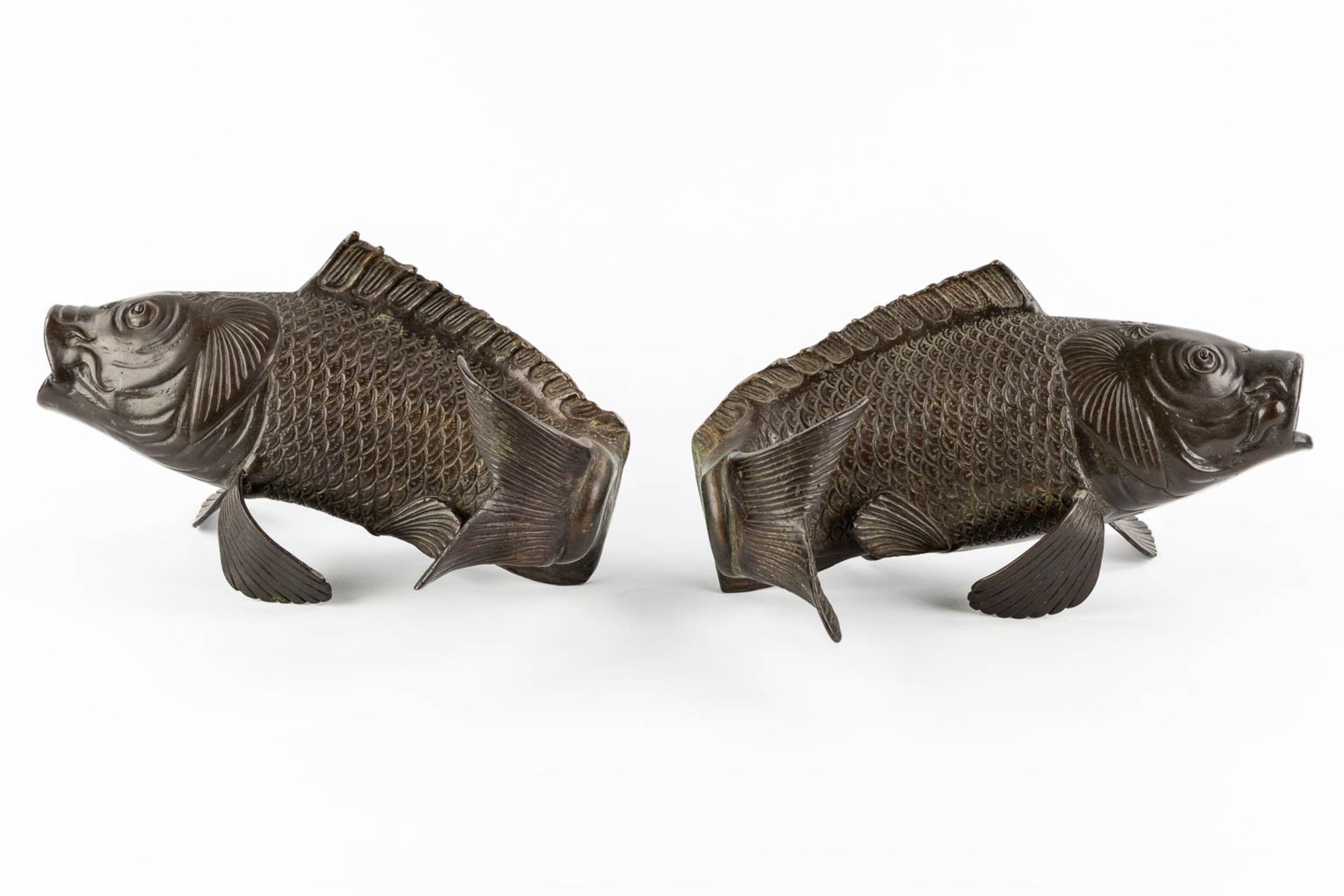 A pair of patinated bronze figurine of Koi, Japan. 20th C. (L:22 x W:29 x H:16 cm) - Image 6 of 12