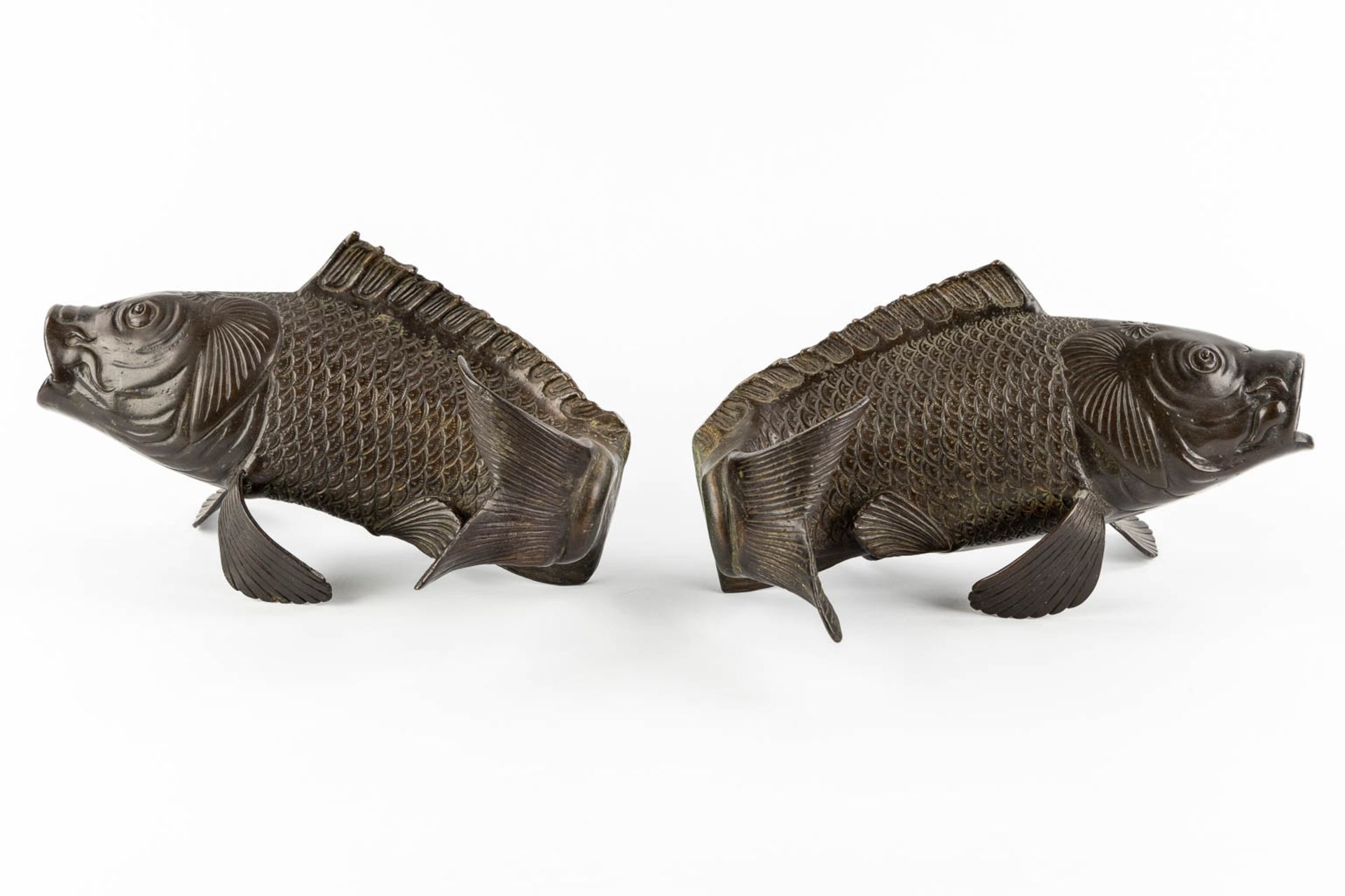 A pair of patinated bronze figurine of Koi, Japan. 20th C. (L:22 x W:29 x H:16 cm) - Bild 6 aus 12