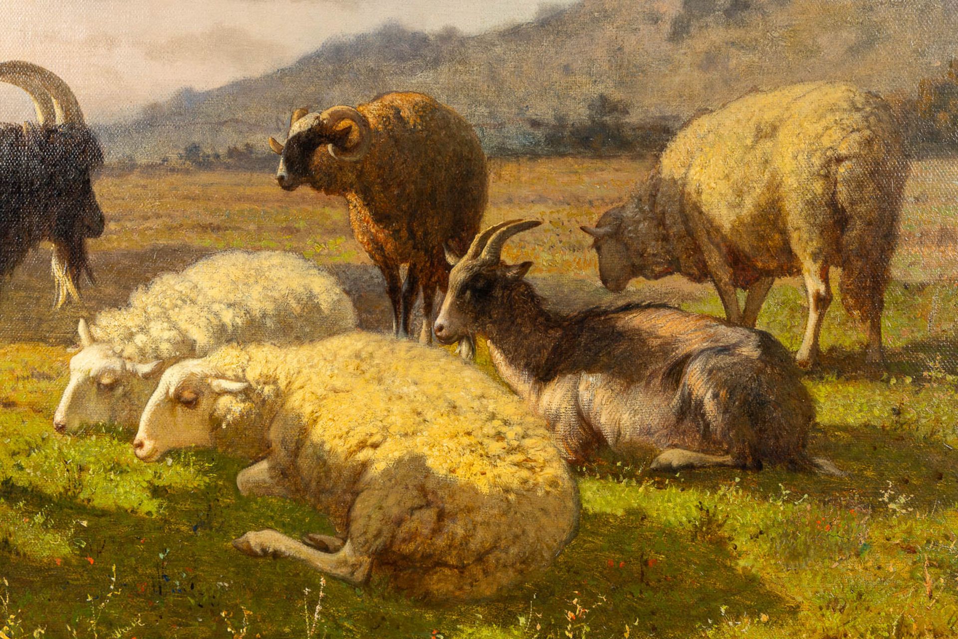 Louis ROBBE (1806-1887) 'Sheep and Rams' oil on canvas. (W:76 x H:57 cm) - Image 5 of 7