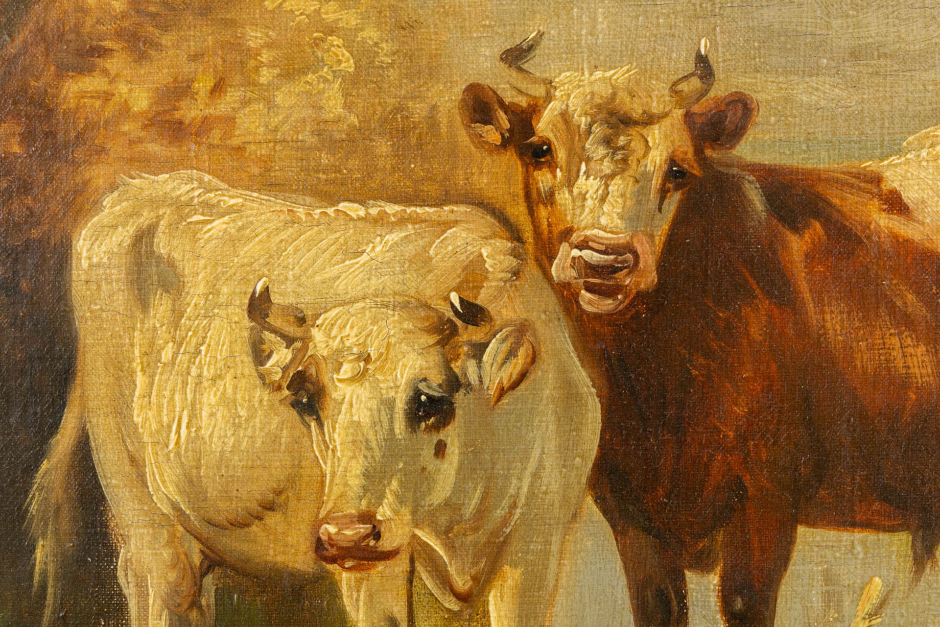 Paul SCHOUTEN (1860-1922) 'Cows in a pond' oil on canvas. (W:62 x H:45 cm) - Image 4 of 10
