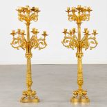 A pair of large candelabra, gilt bronze in Louis XVI style. 19th C. (H:95 x D:37 cm)