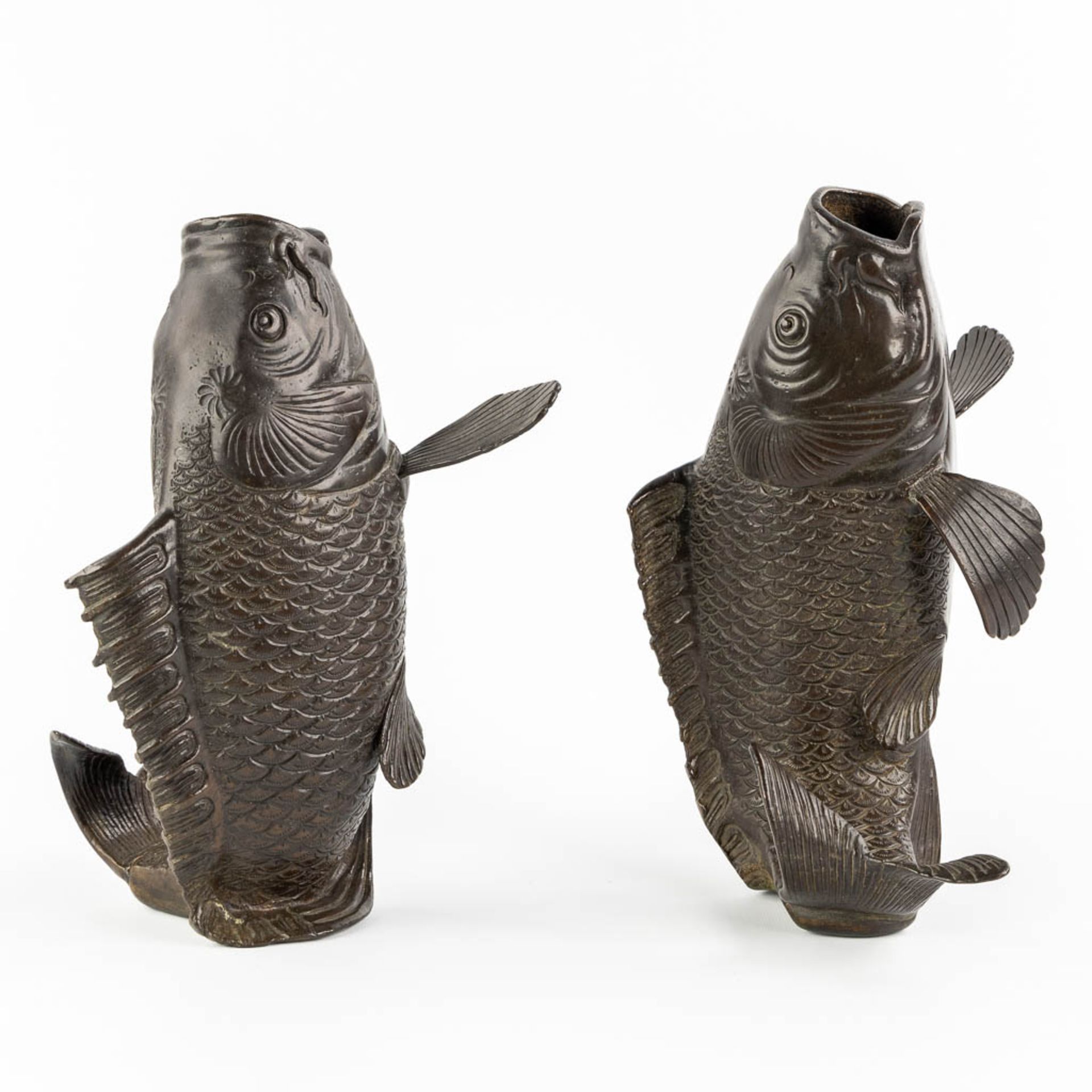 A pair of patinated bronze figurine of Koi, Japan. 20th C. (L:22 x W:29 x H:16 cm) - Image 9 of 12