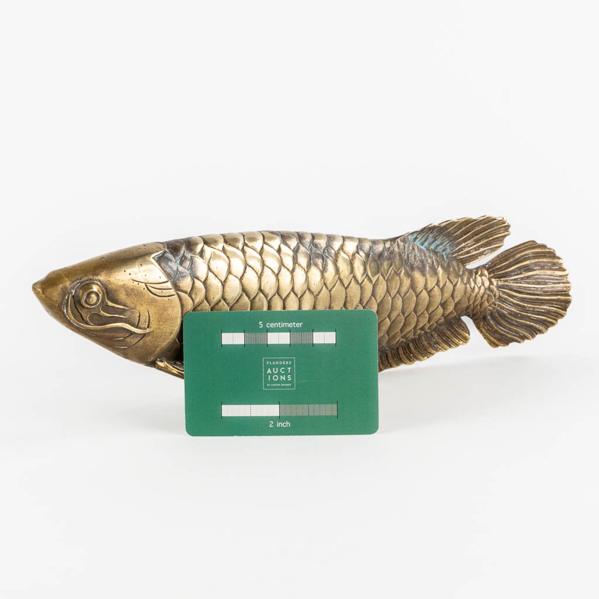 A bronze figurine of a Koi, Japan. (W:29 x H:9 cm) - Image 2 of 9