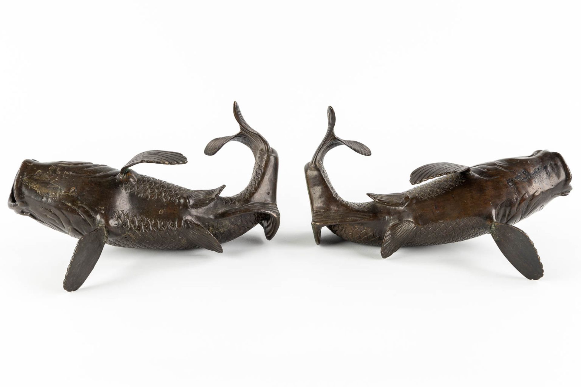 A pair of patinated bronze figurine of Koi, Japan. 20th C. (L:22 x W:29 x H:16 cm) - Image 8 of 12