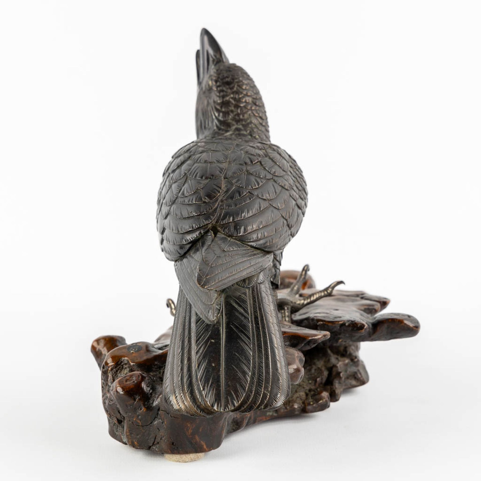 A Raven, patinated bronze mounted on a wood base. Probably Japan. (L:17 x W:30 x H:17 cm) - Image 4 of 10