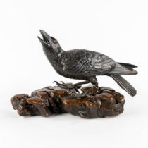 A Raven, patinated bronze mounted on a wood base. Probably Japan. (L:17 x W:30 x H:17 cm)